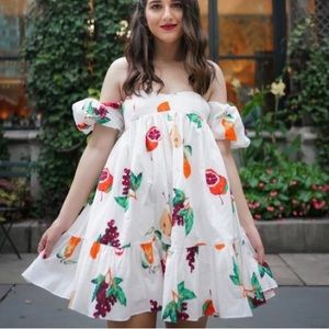 NWOT Urban Outfitters Fruit Mini Dress